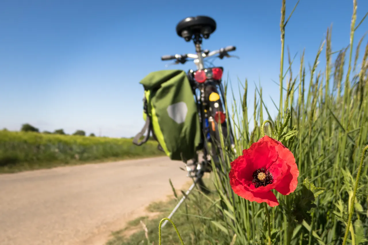 Deposito Bici