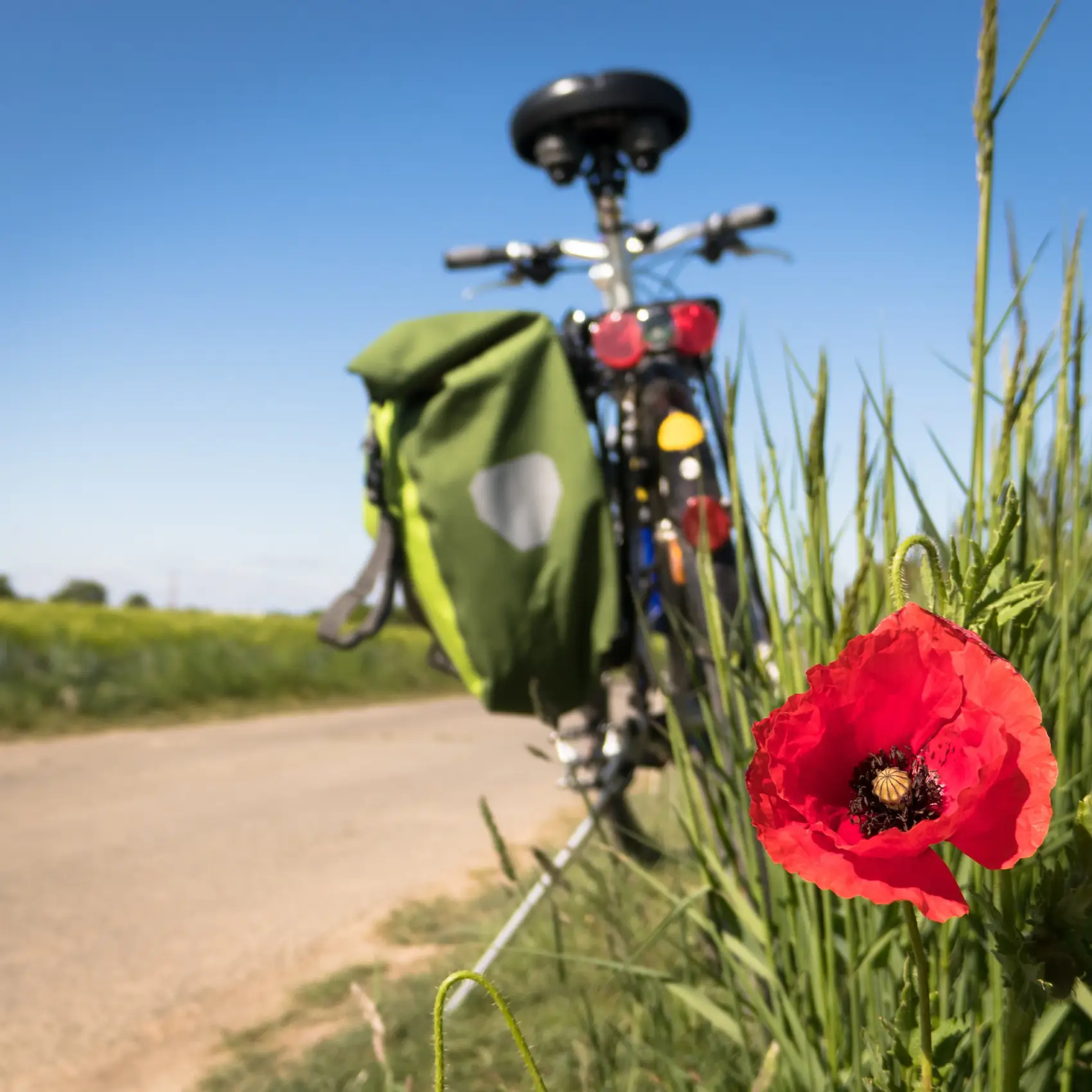 to-go-biking-1